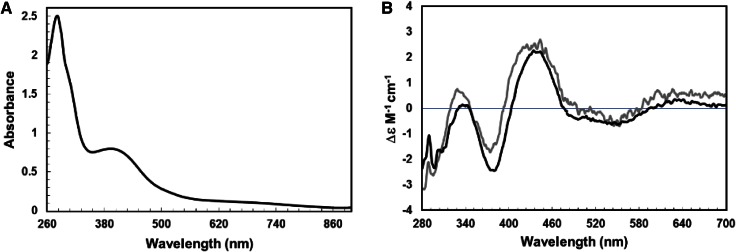 Fig. 2