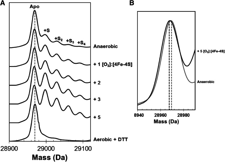 Fig. 4