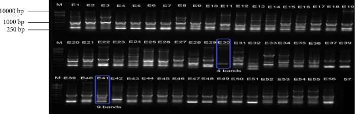 Figure 10