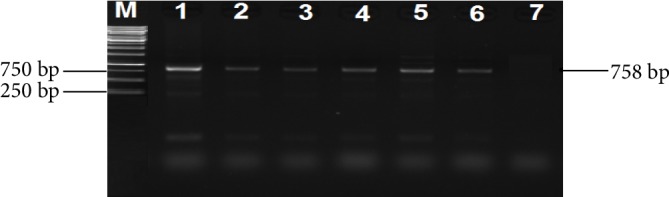 Figure 9