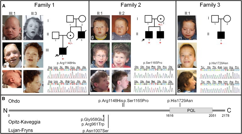 Figure 1