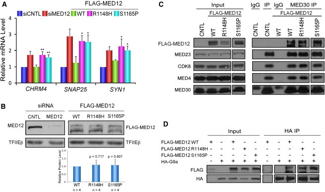 Figure 2