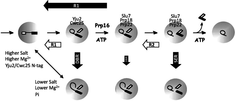 FIGURE 7.