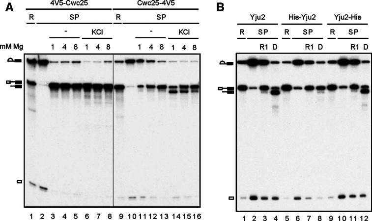 FIGURE 4.