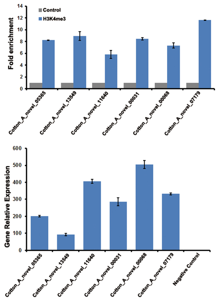 Figure 6