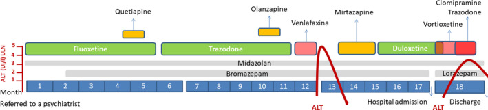 FIGURE 1