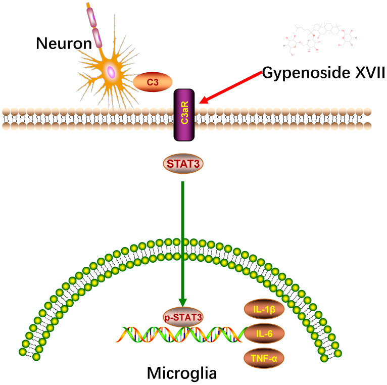 Figure 6