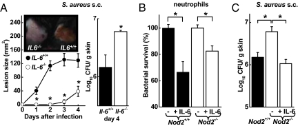 Fig. 6.