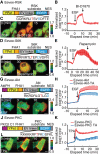 FIGURE 6: