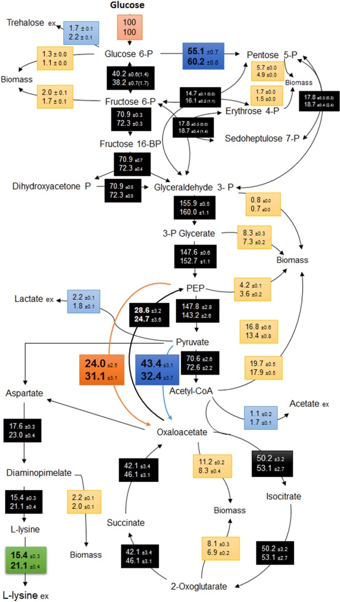 FIG 4