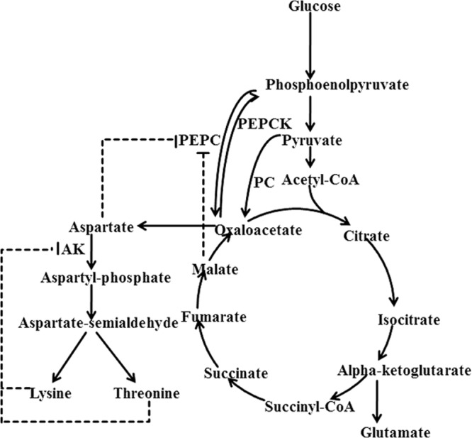 FIG 1