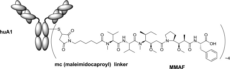 Fig. 1