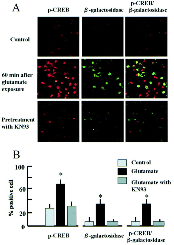 Fig. 10.