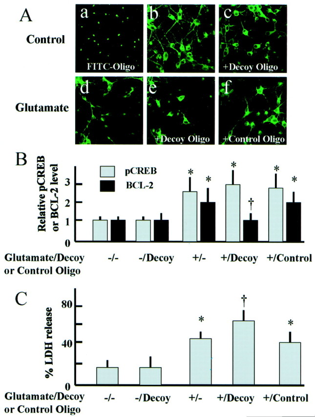 Fig. 9.