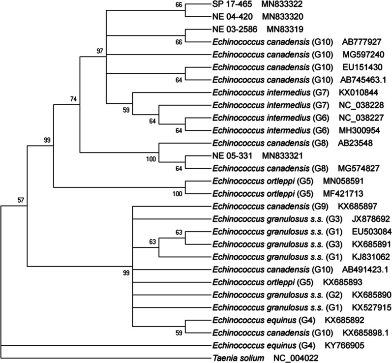 Fig. 3