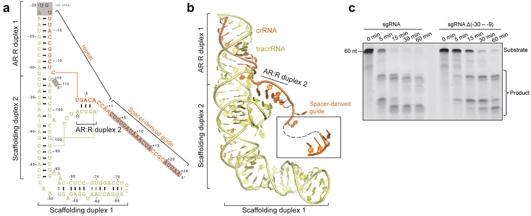 Figure 3.