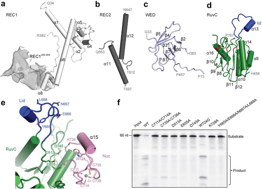 Figure 2.