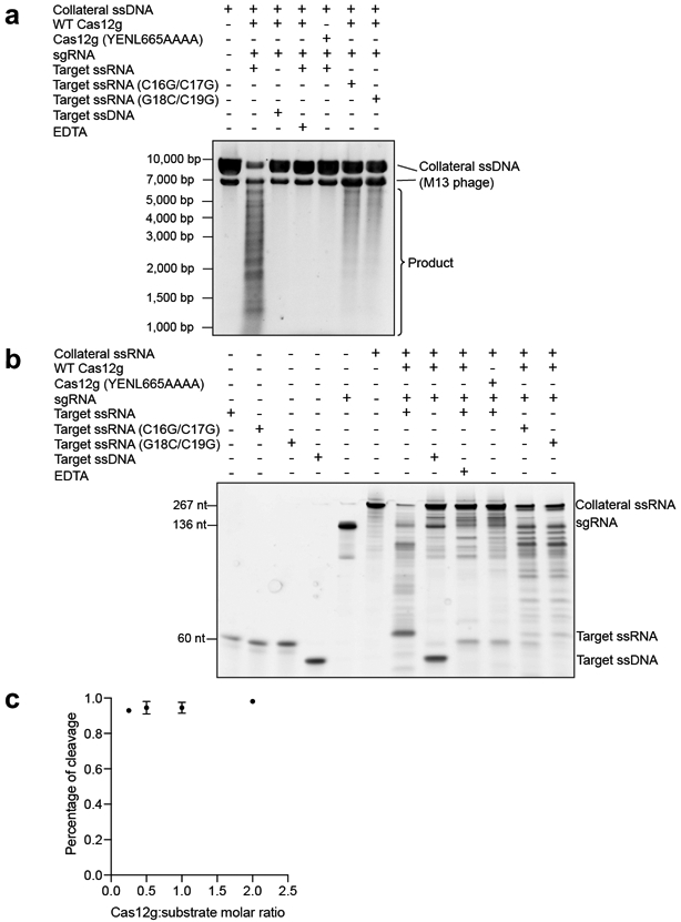 Extended Data Fig. 4.