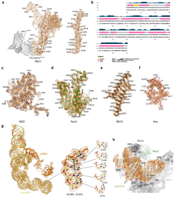 Extended Data Fig. 2