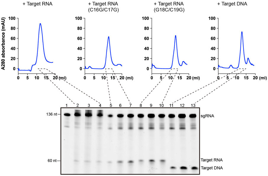 Extended Data Fig. 8