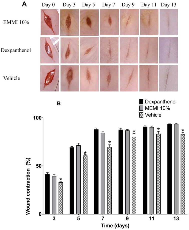 Figure 5