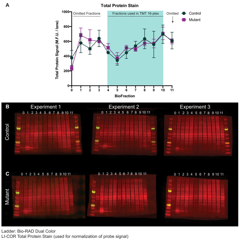 Figure 3—figure supplement 3.