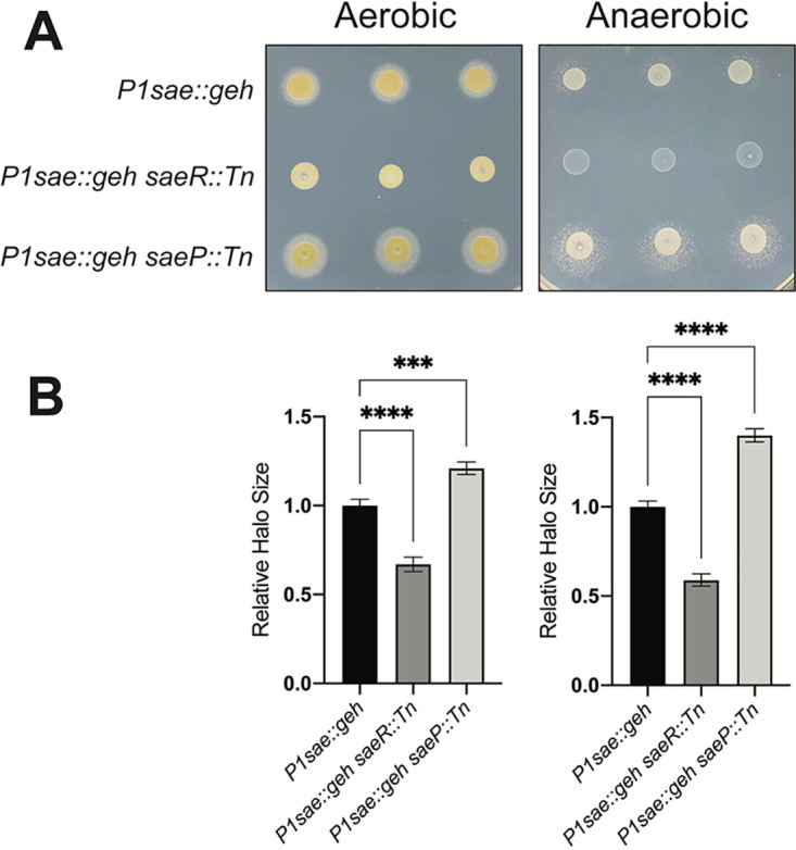 FIG 8