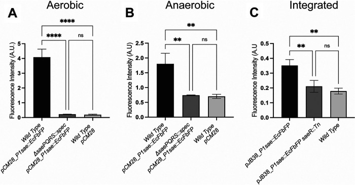 FIG 6