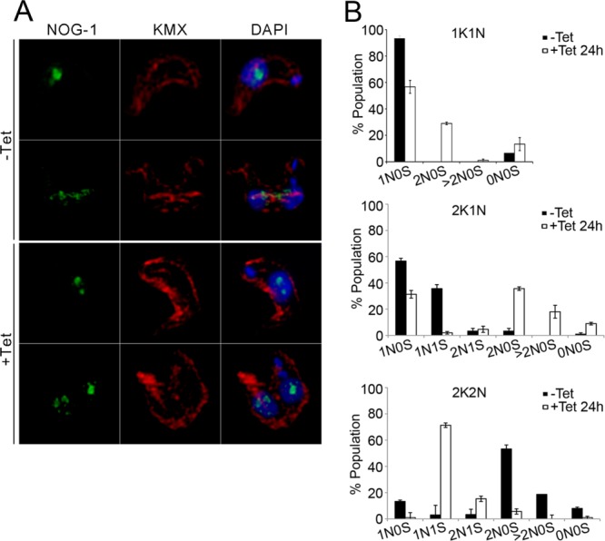 FIGURE 4: