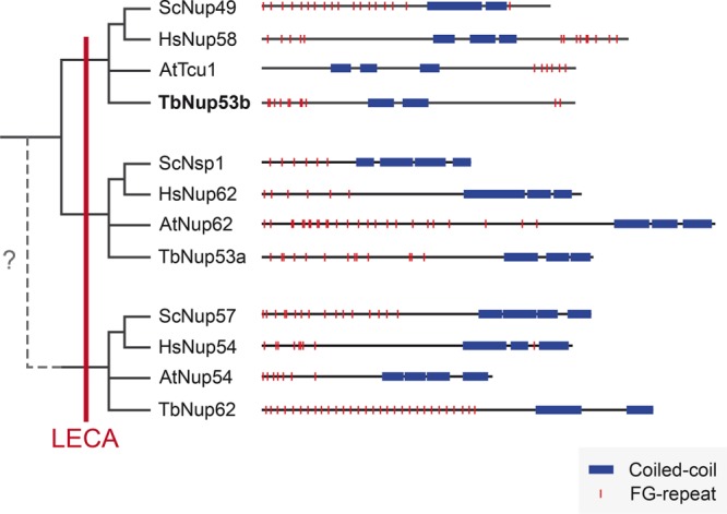 FIGURE 2: