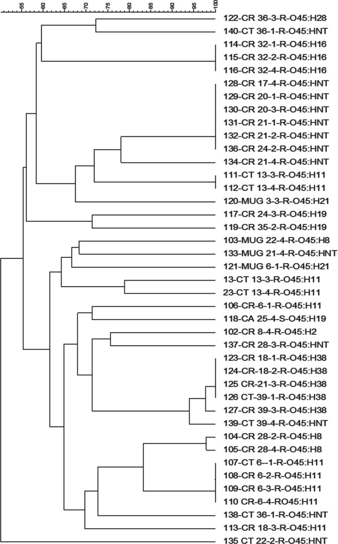 Figure 6