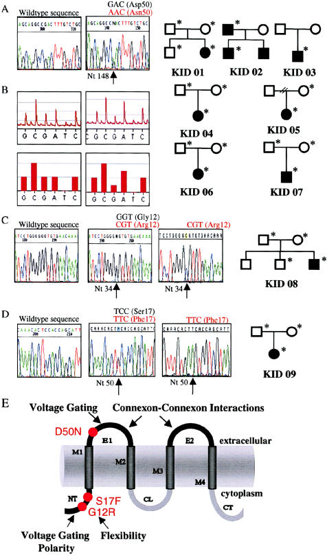 Figure  2