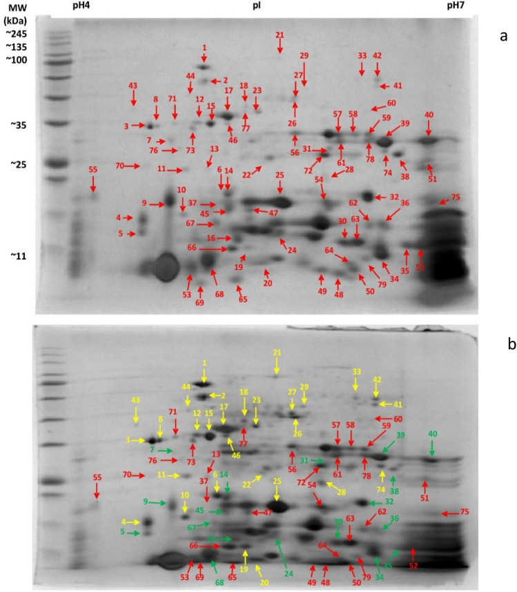 Figure 10