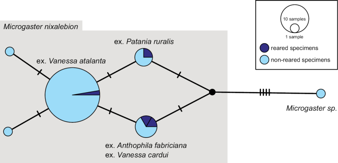 Figure 34.