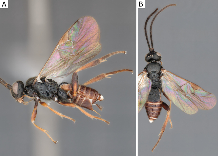 Figure 37.
