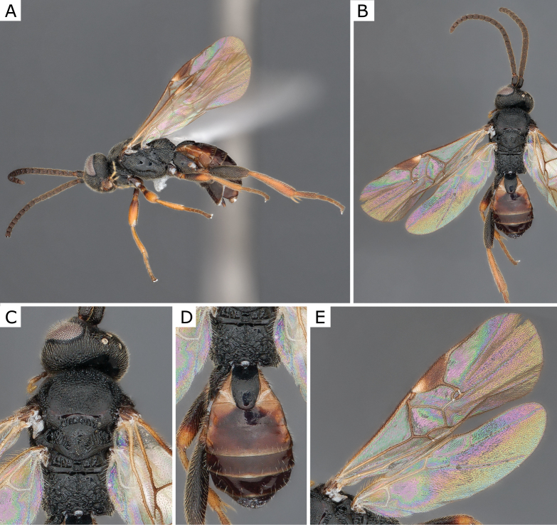Figure 38.