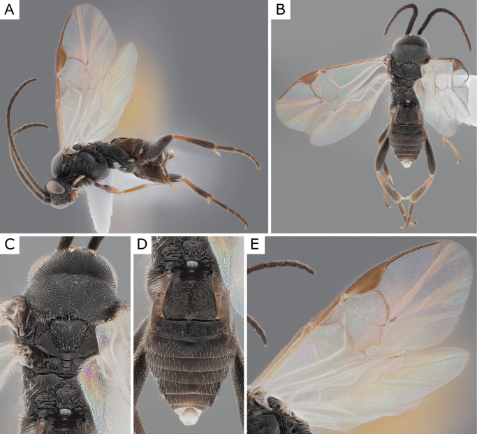 Figure 21.