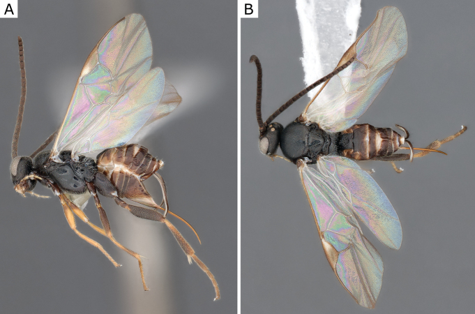 Figure 23.