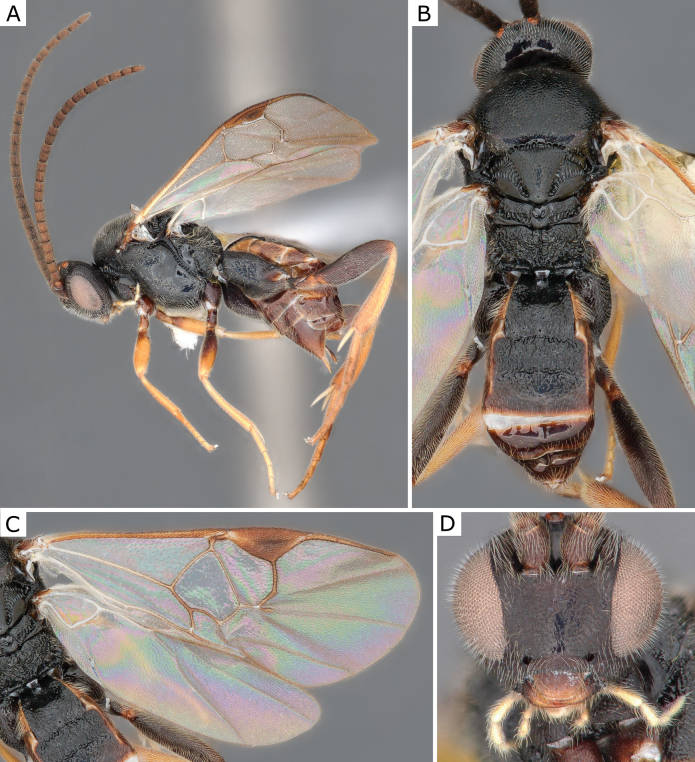 Figure 15.