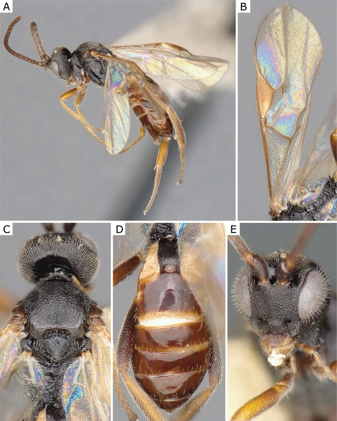 Figure 39.