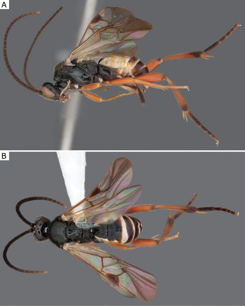 Figure 51.
