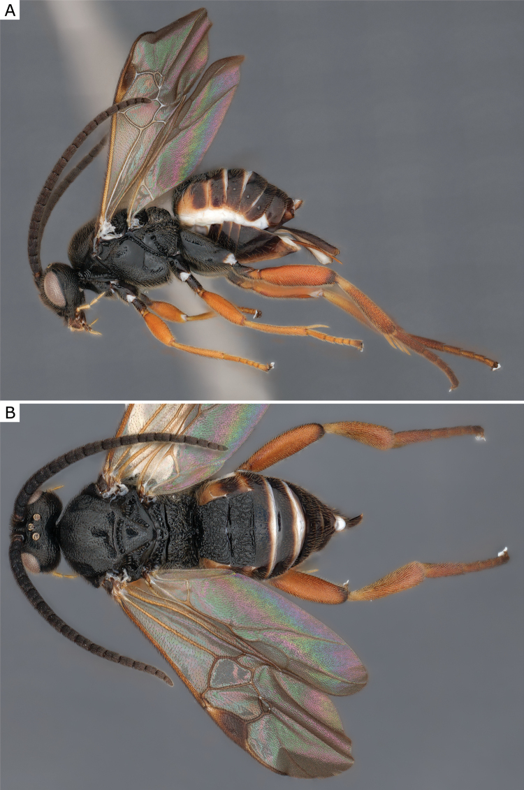 Figure 35.