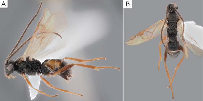 Figure 11.
