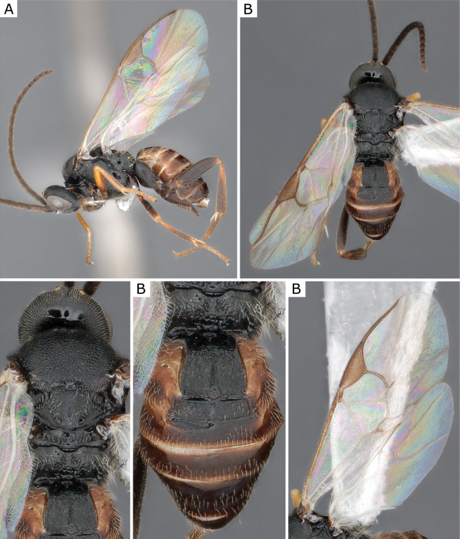 Figure 20.