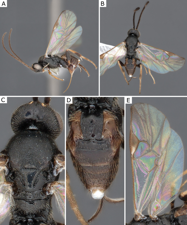 Figure 22.