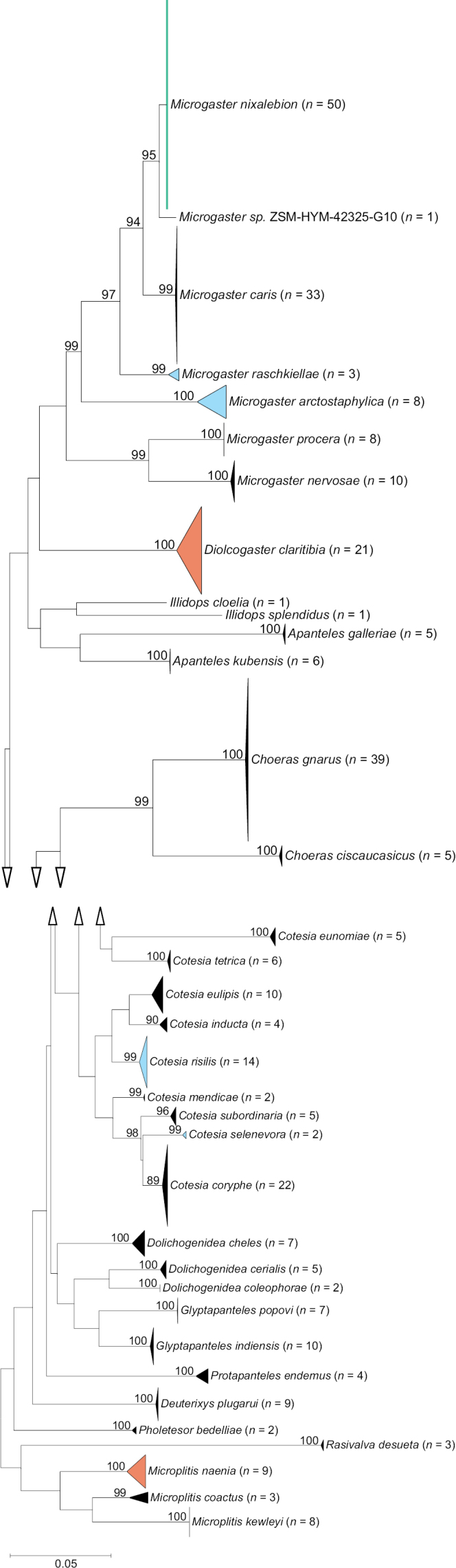 Figure 53.