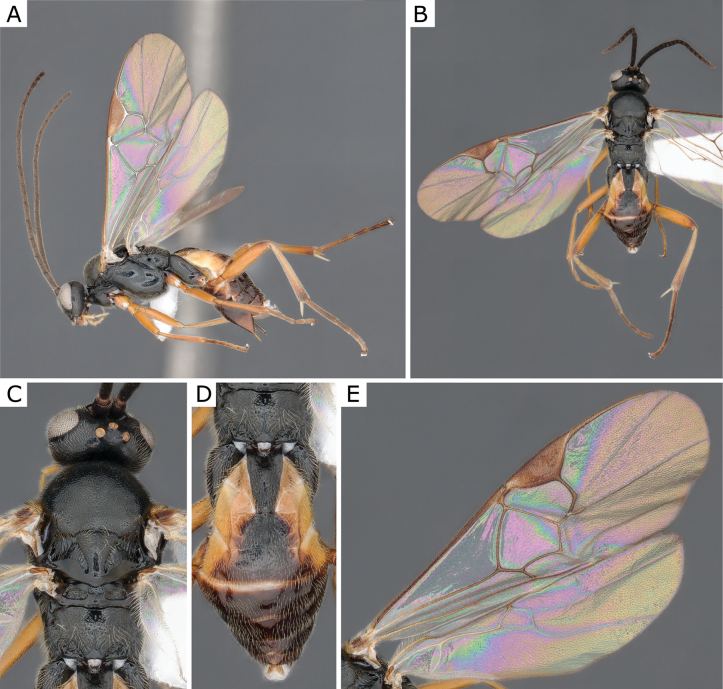 Figure 27.