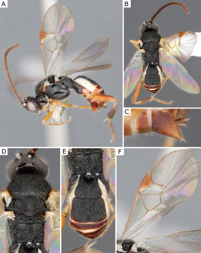 Figure 44.