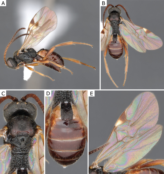 Figure 40.