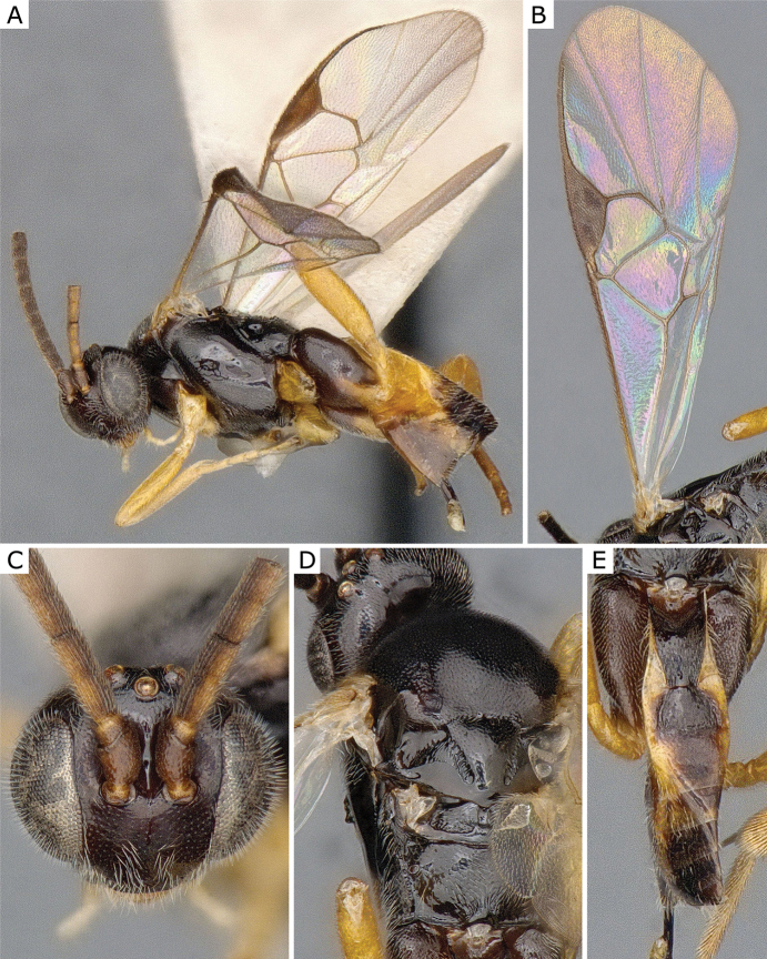 Figure 26.